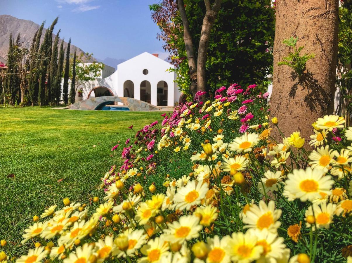 Lunahuaná Casa Hotel Mamaluna מראה חיצוני תמונה