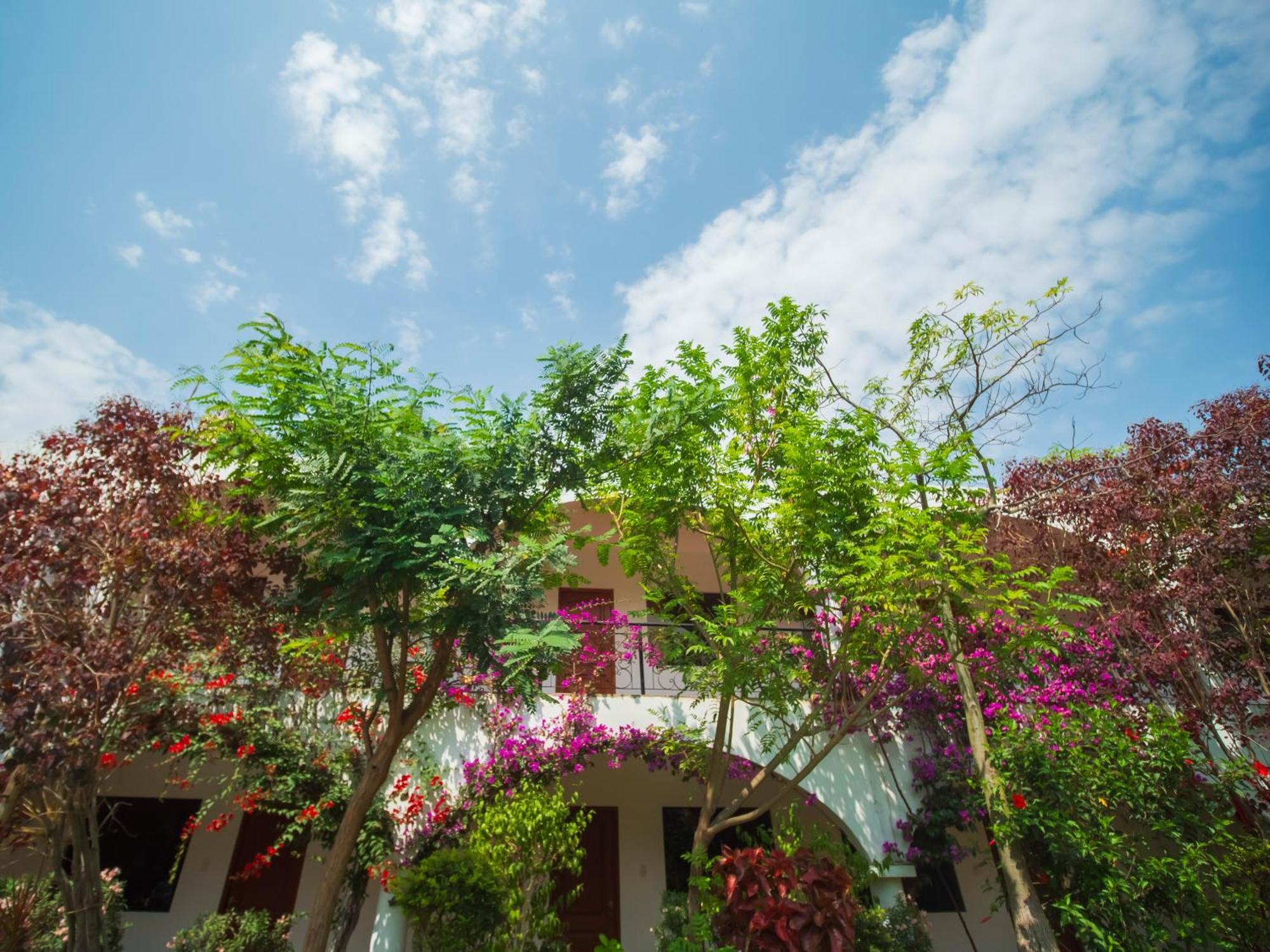 Lunahuaná Casa Hotel Mamaluna מראה חיצוני תמונה